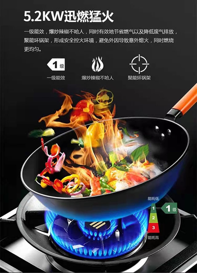 极光5.2KW_官网.jpg